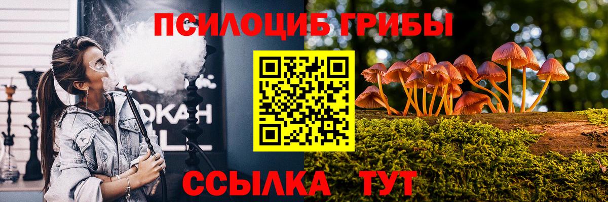 Галлюциногенные грибы мицелий  Вход с VPN  купить   Тихорецк 