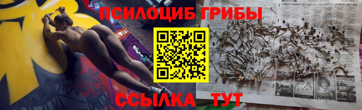 Псилоцибиновые грибы мицелий Тихорецк